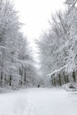 winter2.jpg