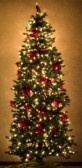 xmastree.jpg